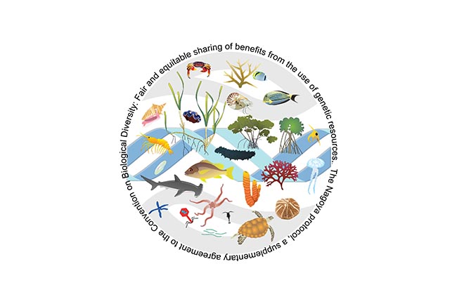 Graphics and symbols in the illustrations are courtesy of the Integration and Application Network (https://ian.umces.edu/media-library/)